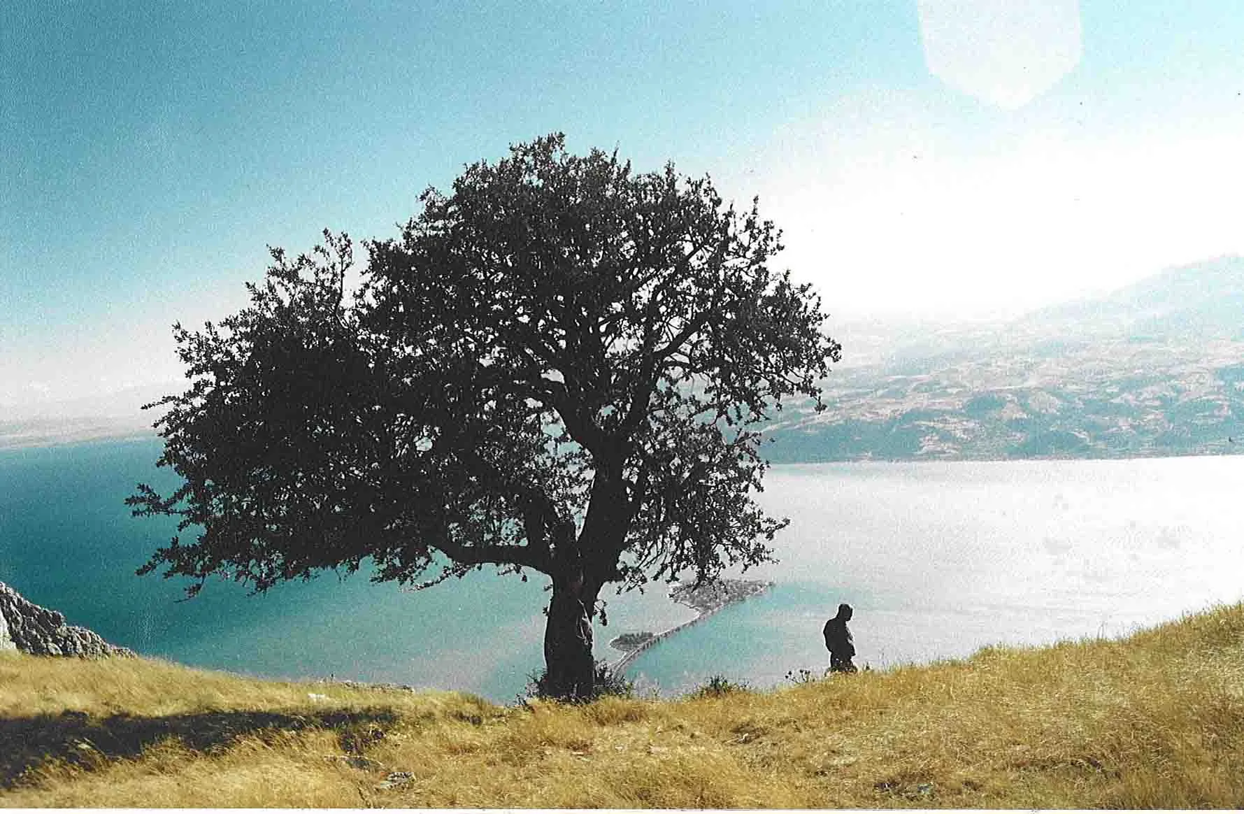prostanna9 Cabbar Umut’u Nuri Bilge Ceylan’ın Kuyusu