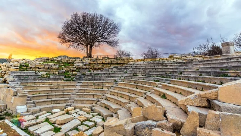 teos-antik-kenti-seferihisar Teos’ta Bilge Bir Ağacın Altında