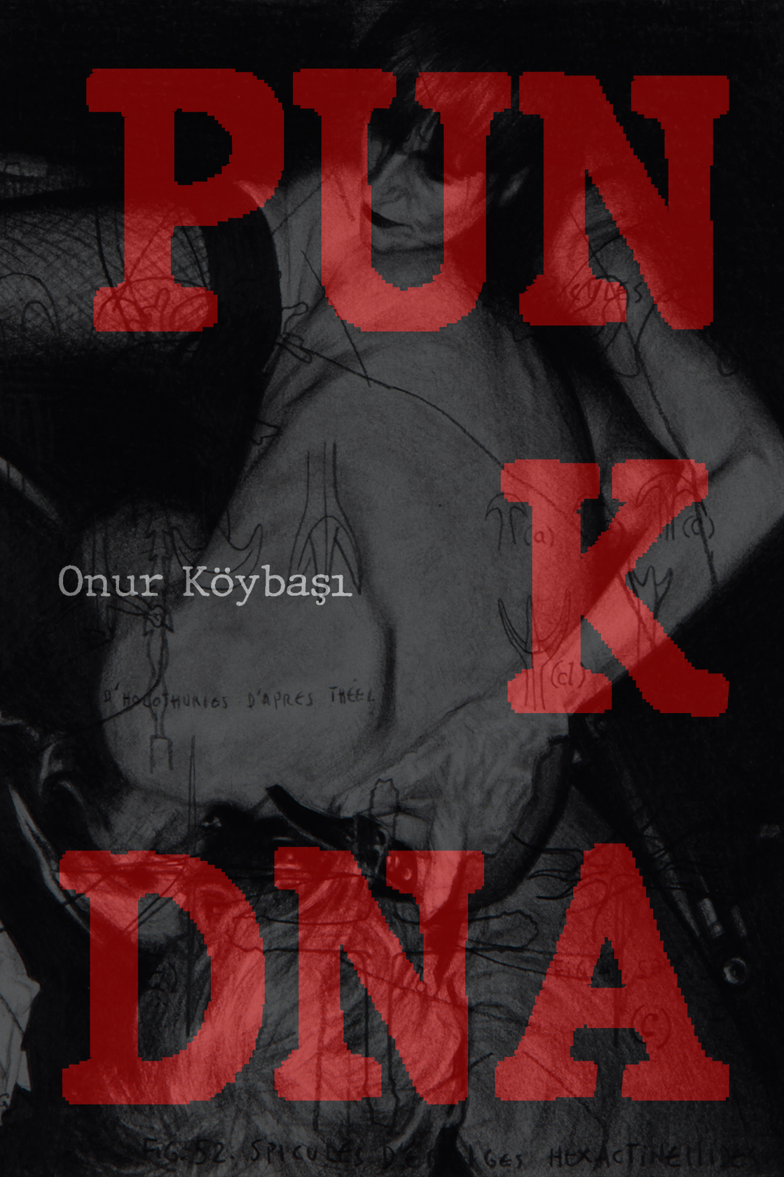 Onur Köybaşı’dan yeni kitap: Punk