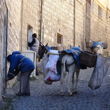 MARDİN'İN 'KADROLU EŞEKLERİ' İŞ BAŞINDA TEMİZLİK ARAÇLARININ GİREMEDİĞİ DAR SOKAKLAR 'KADROLU EŞEKLERE' EMANET ARTUKLU İLÇESİNDE BULUNAN '47 KADROLU EŞEK' YAKLAŞIK 10 YILLIK MESAİLERİNİN ARDINDAN 'EMEKLİLİĞİN' TADINI ÇIKARIYOR Töre -Eğlence-Reyting-Kıskacında Mardin