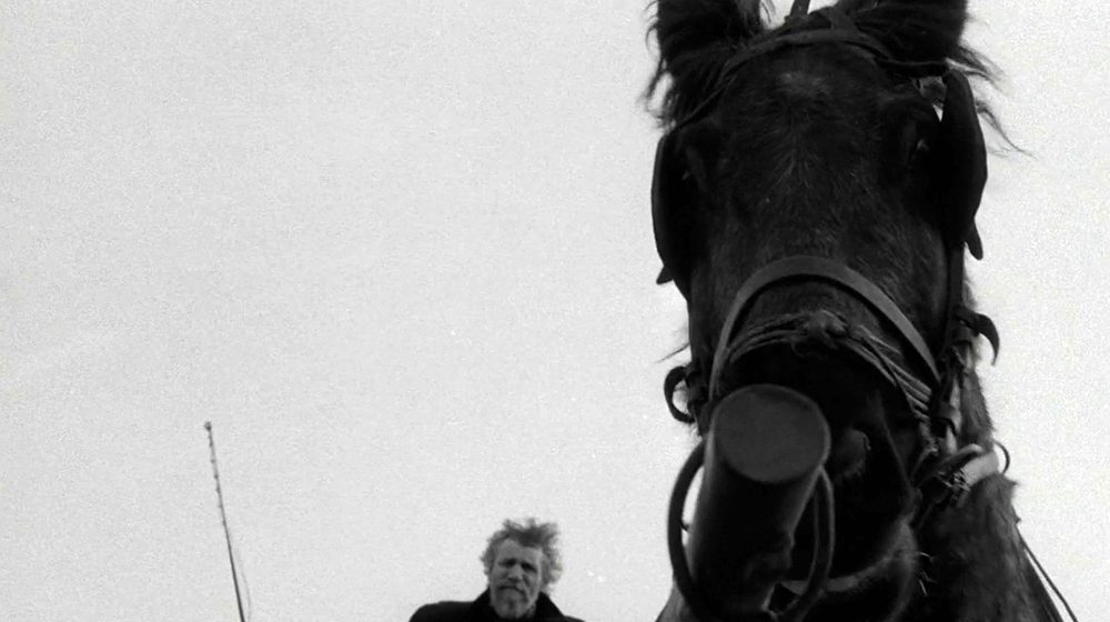 Nietzsche ve Torino Atı Filmi Üzerine