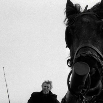 Nietzsche ve Torino Atı Filmi Üzerine