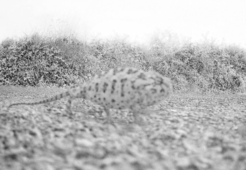 unnamed (1) Martch Art Project Sergi: Yeni Başlayanlar İçin Acil Durum Kiti