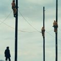AĞAÇLAR VE BAHÇELERİMİZ NEDEN BU KADAR ÖKSÜZ? 