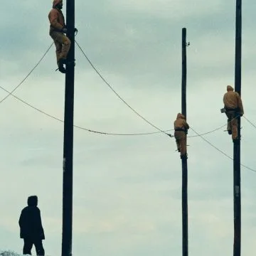 AĞAÇLAR VE BAHÇELERİMİZ NEDEN BU KADAR ÖKSÜZ? 