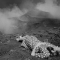 Bir Rosselini Kabusu: Stromboli