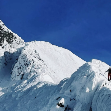 Ekran görüntüsü 2025-11-09 155223 Kurdun Ayak İzleri: Romanya