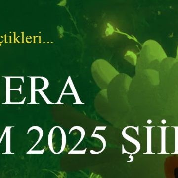 Tozan Alkan Seçiciliğinde #eklitera Kasım Şiirleri