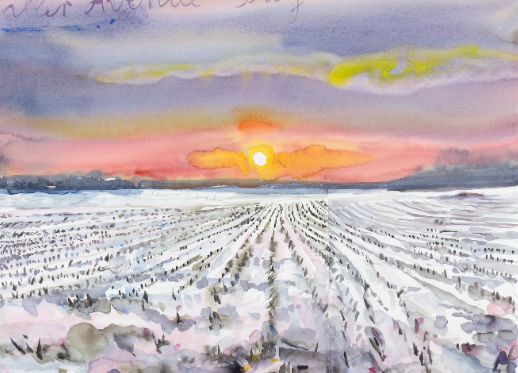 Ekran görüntüsü 2025-12-22 145733 SAFRAN CÜMBÜŞÜ (ŞİİR)