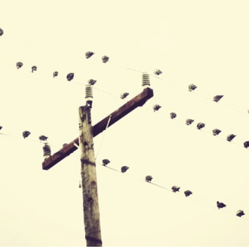 oie_20111154sR9a5seO KOVULAN KİM? (ŞİİR)