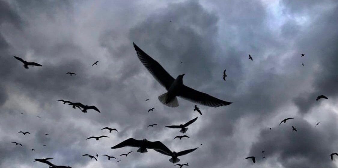 Sergi: “Kırmızı bir Kuştur Soluğun — Takvim İptal”