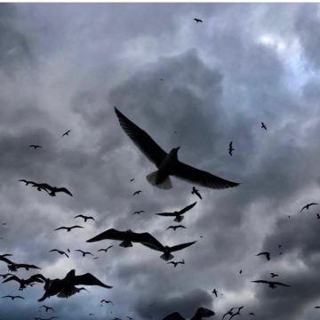 Sergi: “Kırmızı bir Kuştur Soluğun — Takvim İptal”