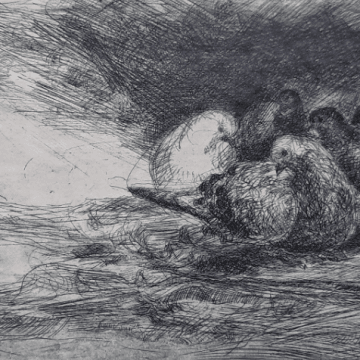 baştan sona tekrar al (şiir)