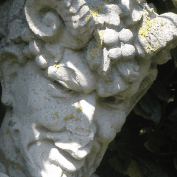 Bunları Duymalısın Pan (Şiir)