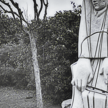 Taşın Şarkısı: Sessizlikten Sese