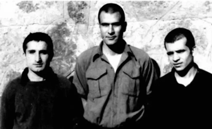 ÜÇ FİDANIN GÖLGESİNDE: BİR MAYIS SABAHINA DOĞRU