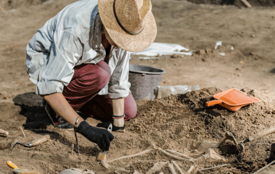 Ekran görüntüsü 2026-06-02 141206 Toprağın Altından Vitrine: Kazı Bilgisi Müzeye Ulaşabiliyor mu?