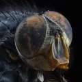 “Kimin Gözünden” Makro Fotoğraf Sergisi Museo Moda’da Açılıyor!