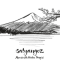Salyangoz Haiku dergisi, ikinci sayısıyla okurla buluştu.